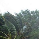 พายุบูรพา