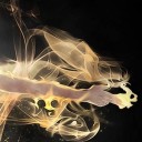 ชะนีบนที่สูง