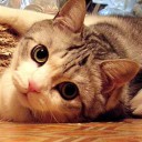 สมาชิกหมายเลข 1938138