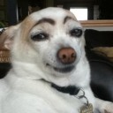 สมาชิกหมายเลข 824688