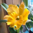 สมาชิกหมายเลข 824707