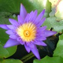 สมาชิกหมายเลข 824782