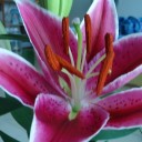 สมาชิกหมายเลข 1221587