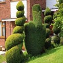 จิ๊กโก๋นครบาล