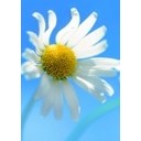 สมาชิกหมายเลข 1641783