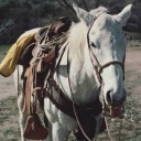 สมาชิกหมายเลข 2067922