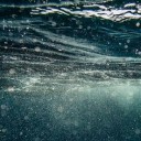 สมาชิกหมายเลข 2453194