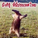 สมาชิกหมายเลข 757407