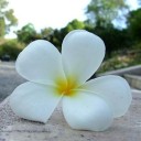 สมาชิกหมายเลข 824264