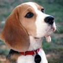 สมาชิกหมายเลข 1897561