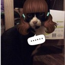 สมาชิกหมายเลข 2456451