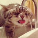 สมาชิกหมายเลข 825342