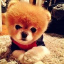 สมาชิกหมายเลข 1189071