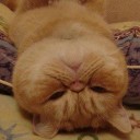 สมาชิกหมายเลข 1642994