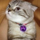 สมาชิกหมายเลข 1643195