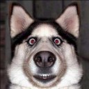 สมาชิกหมายเลข 2845613