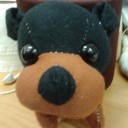 สมาชิกหมายเลข 776937