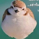 สมาชิกหมายเลข 814184