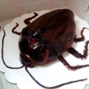 สมาชิกหมายเลข 825889