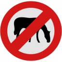 แม่นางคำ