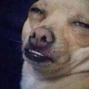 สมาชิกหมายเลข 2069698