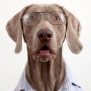 สมาชิกหมายเลข 2369248