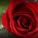 สมาชิกหมายเลข 2457408