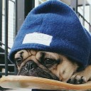 เชื่อหมอ หมอเรียนมา