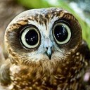 สมาชิกหมายเลข 1804569