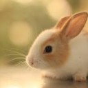 สมาชิกหมายเลข 2213528