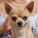 สมาชิกหมายเลข 3294187