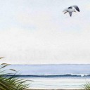 ผมชื่อปั้นครับ