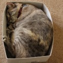 สมาชิกหมายเลข 1197888