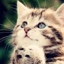 สมาชิกหมายเลข 2858078