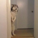 สมาชิกหมายเลข 3294571