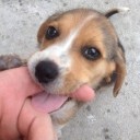 สมาชิกหมายเลข 826953