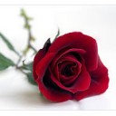 สมาชิกหมายเลข 2261086