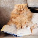 สมาชิกหมายเลข 2277780