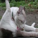 สมาชิกหมายเลข 817664