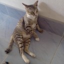 สมาชิกหมายเลข 845956