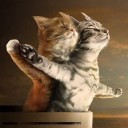 สมาชิกหมายเลข 2457185