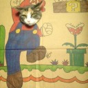 แมวอ้วนนอนม้วนบนจานดาวเทียม