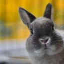 สมาชิกหมายเลข 828134