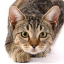 สมาชิกหมายเลข 828381