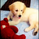 สมาชิกหมายเลข 828440