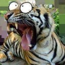 สมาชิกหมายเลข 1395990