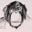 เอ็ด วานรไฟ