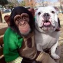 สมาชิกหมายเลข 2053138