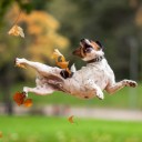 สมาชิกหมายเลข 1242417