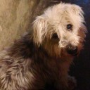 จอมยุทธดุ๊กดิ๊ก